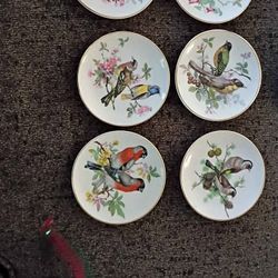 Set Of 6 Vintage Miniature Bird Plates