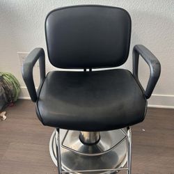 Professional Hydraulic Salon Styling Chair