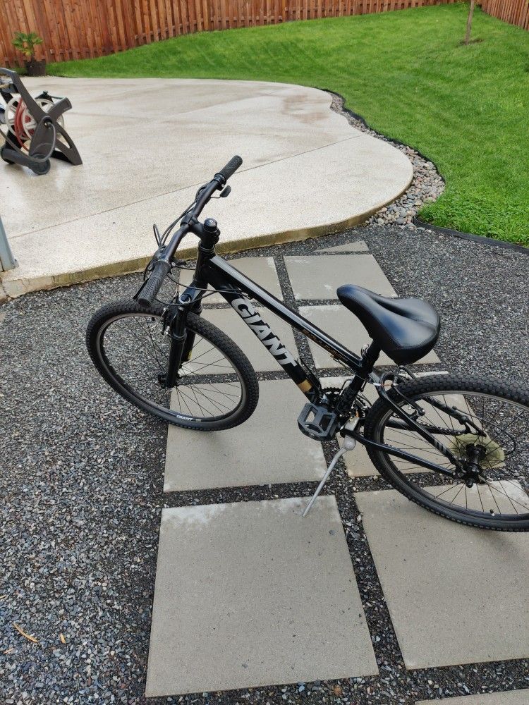 Giant Boulder Mountain Bike XS
