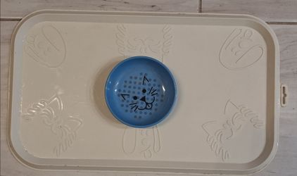 Like new cat bowl and mat