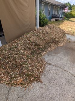 Arborist Maple & Cedar Chips FREE