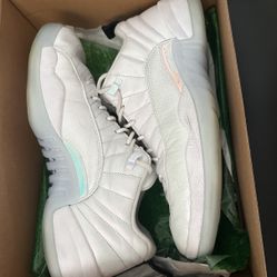 Jordan 12 Size 11.5