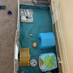 Guinea Pig Cage (with accessories)