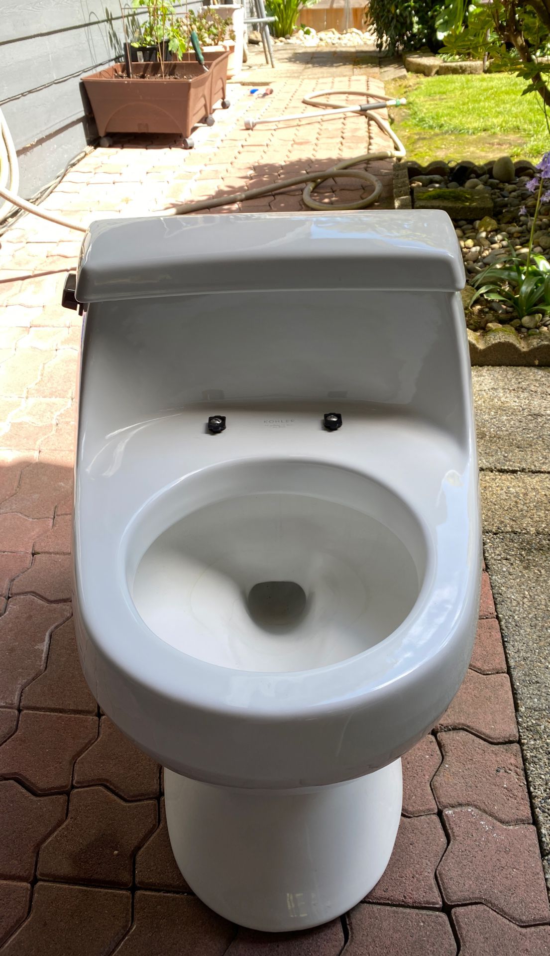 Kohler Rialto toilet