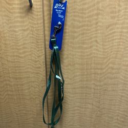 Green Dog Leash 