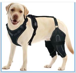 Lispoo Dog Knee Brace for Both Hind Legs with Hinged ACL Support, size XL