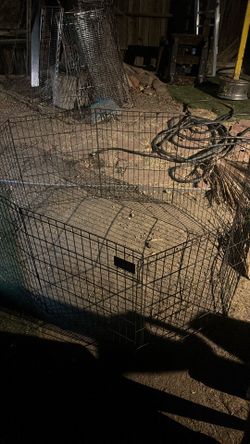 Big Foldable Cage