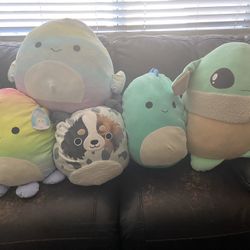 Squishmallows 