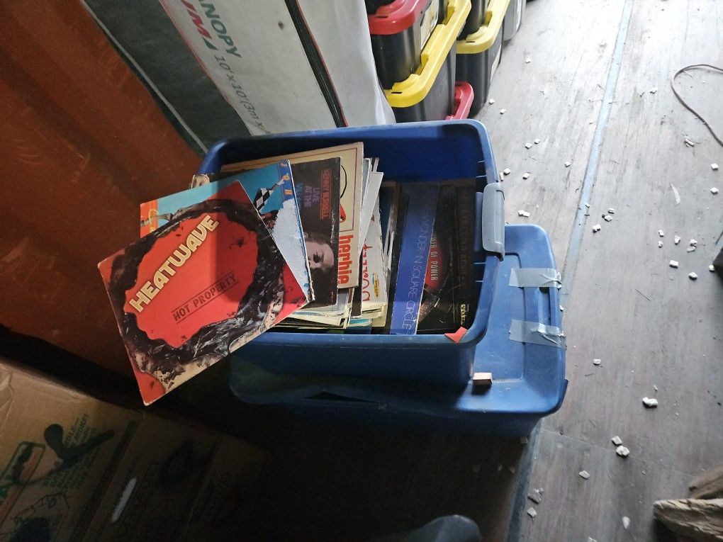 Bins Full Of Records 