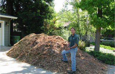 Free Mulch Wood Chips