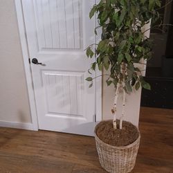 Decorative Artificial Tree