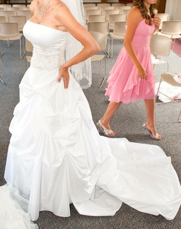 David's Bridal Wedding Gown & Veil