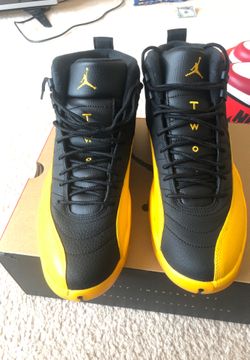 Air Jordan 12 retro