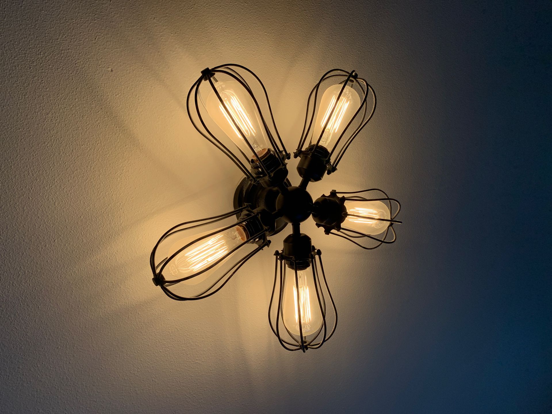 Edison Flushmount light chandelier