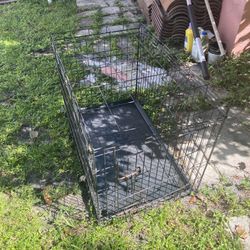 Dog Cage 