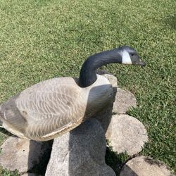 Floating  Goose Storm Front Decoys