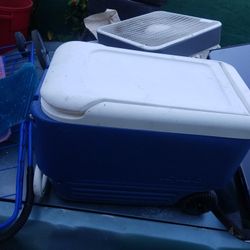 Cooler