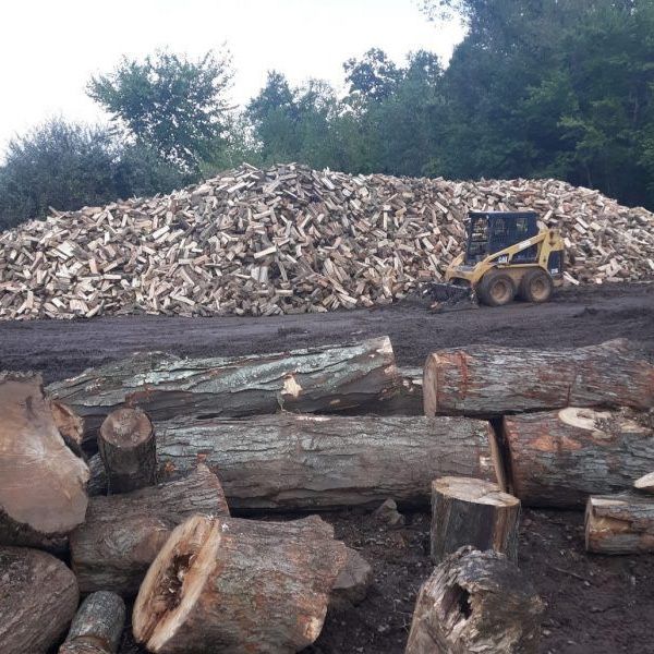 Firewood For Sale