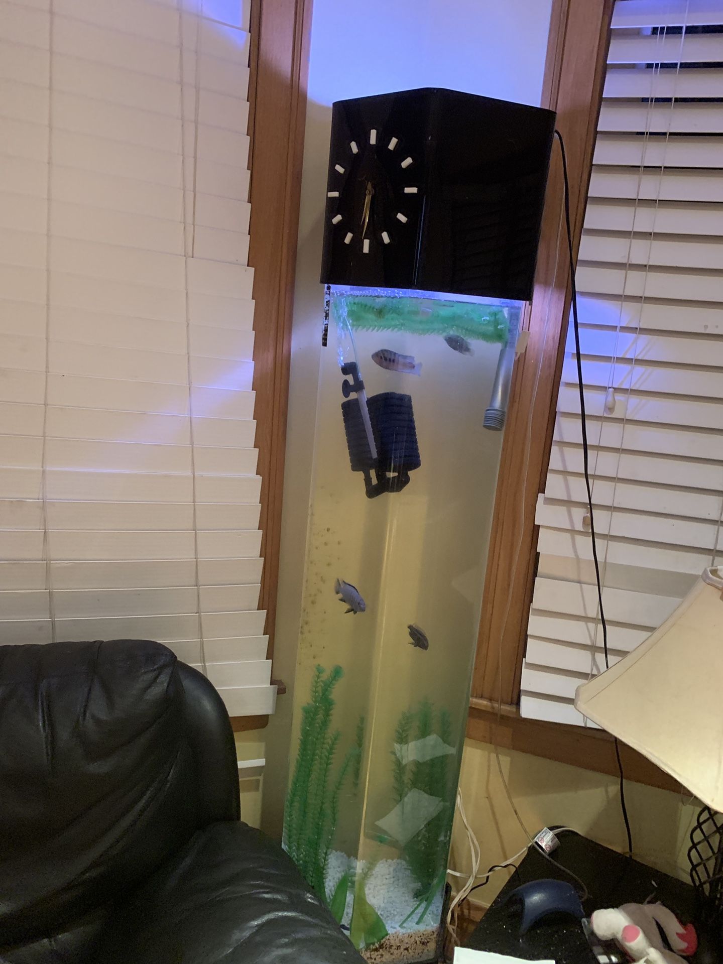 30 gallon aquarium tank