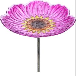 Glass Bird Baths for Outdoors, 12 Inch W(47)