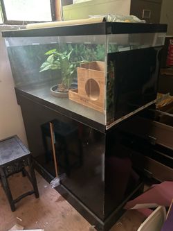 Terrarium