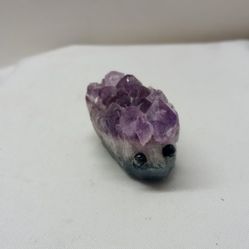Amethyst Hedgehog 