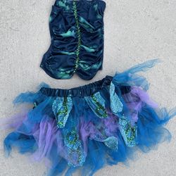Women’s Costume Size Small / Medium 