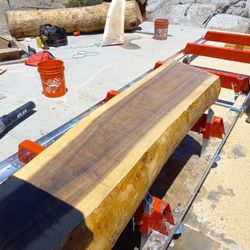 Wood Slabs