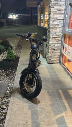Electric Bike