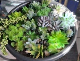 *** CLEARANCE *** Succulent Collection - a 14" Resin Planter filled with Artificial Succulents @ Lasting Creations