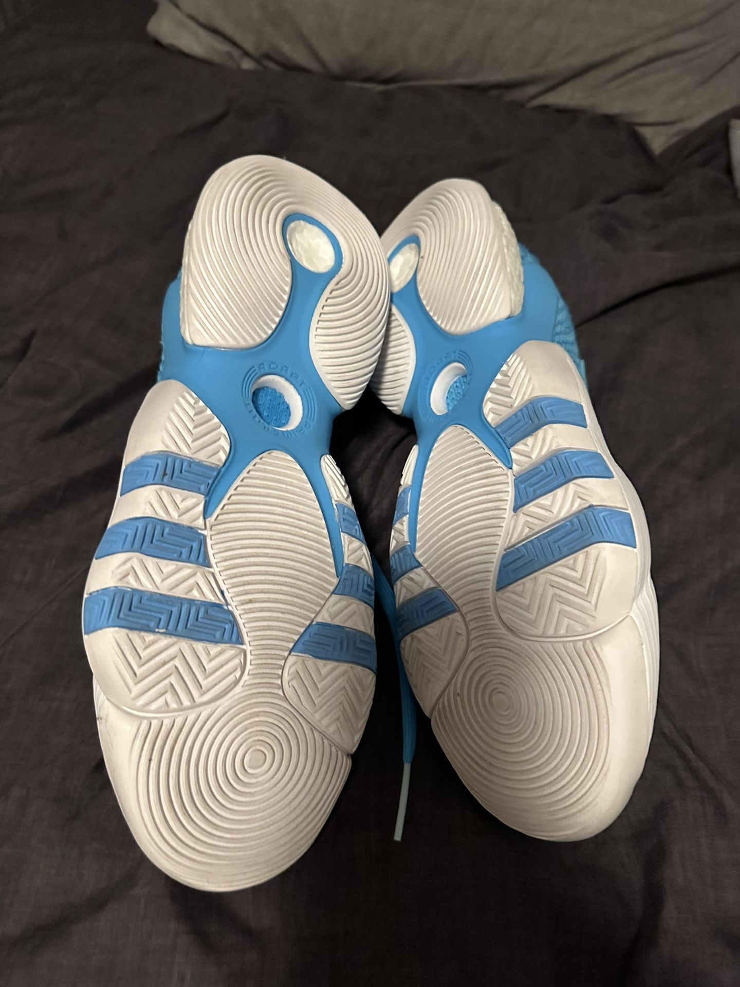 Trae Young Basketball Shoes