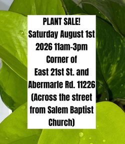PLANT SALE!