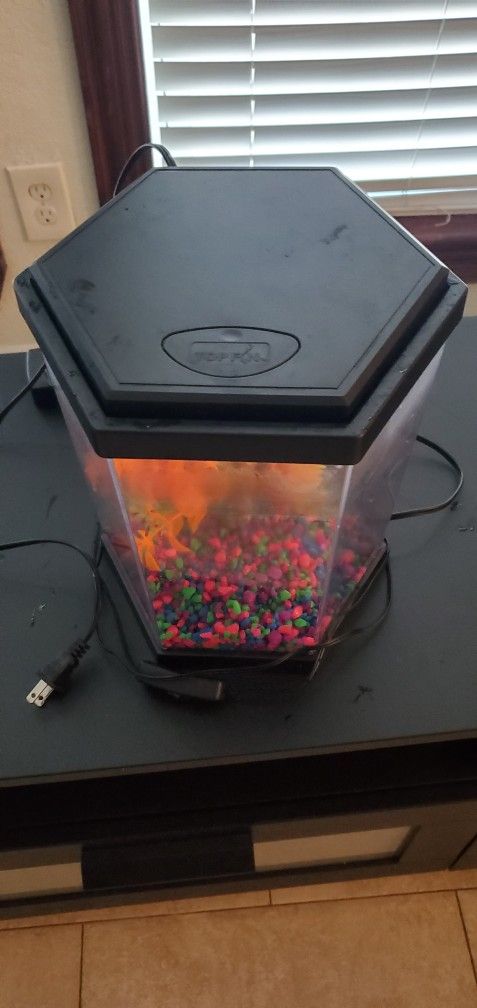 Aquarium With Terrain