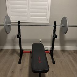 Adjustable bench press + Weights + Dumbbells