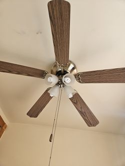 Ceiling Fan 
