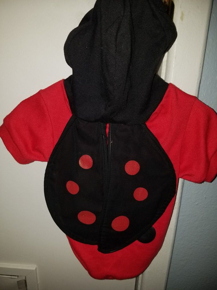 Lady bug Costume 