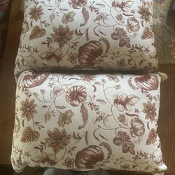 Pair of decorative throw pillows