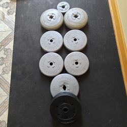 Grey Standard 1inch Weight Plates 10lb And 15lb