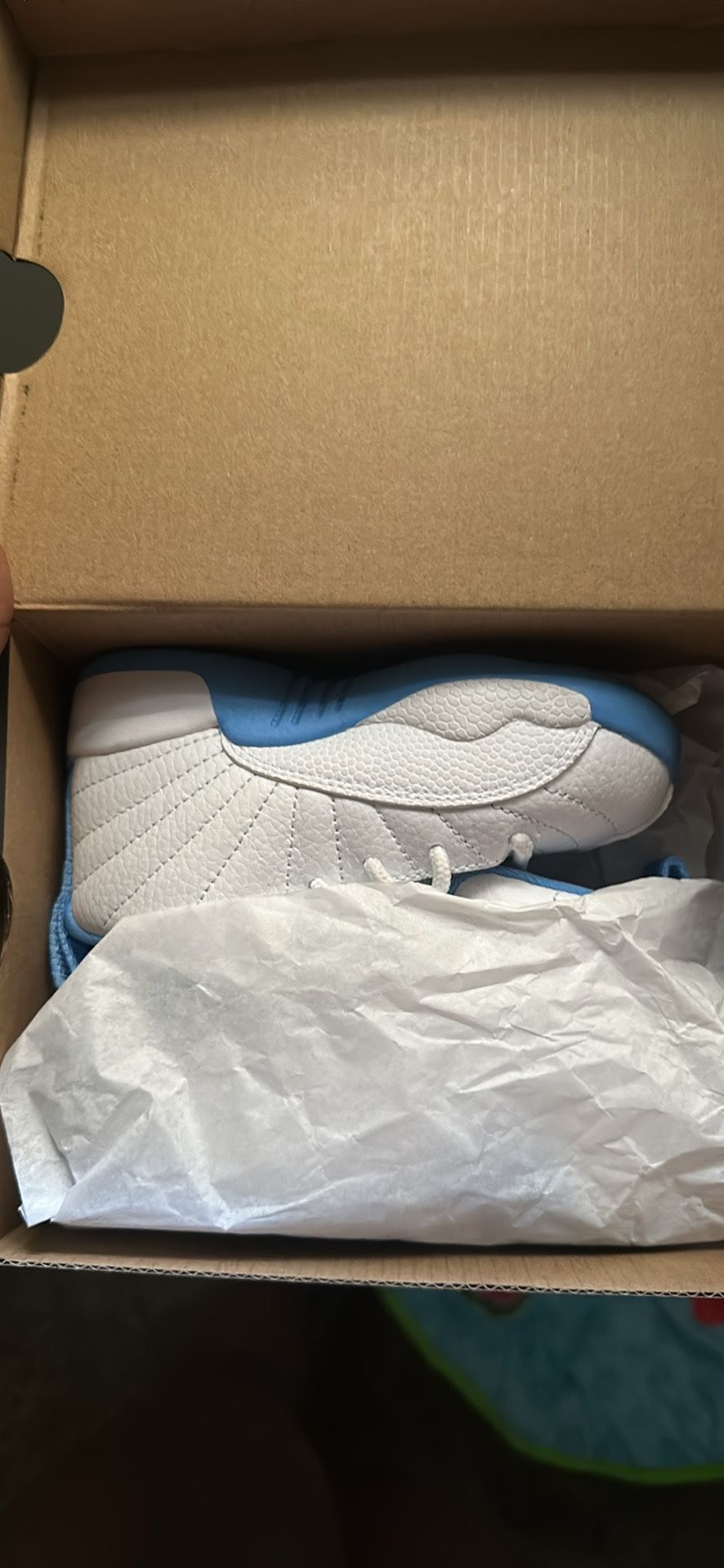 Air Jordan 12s
