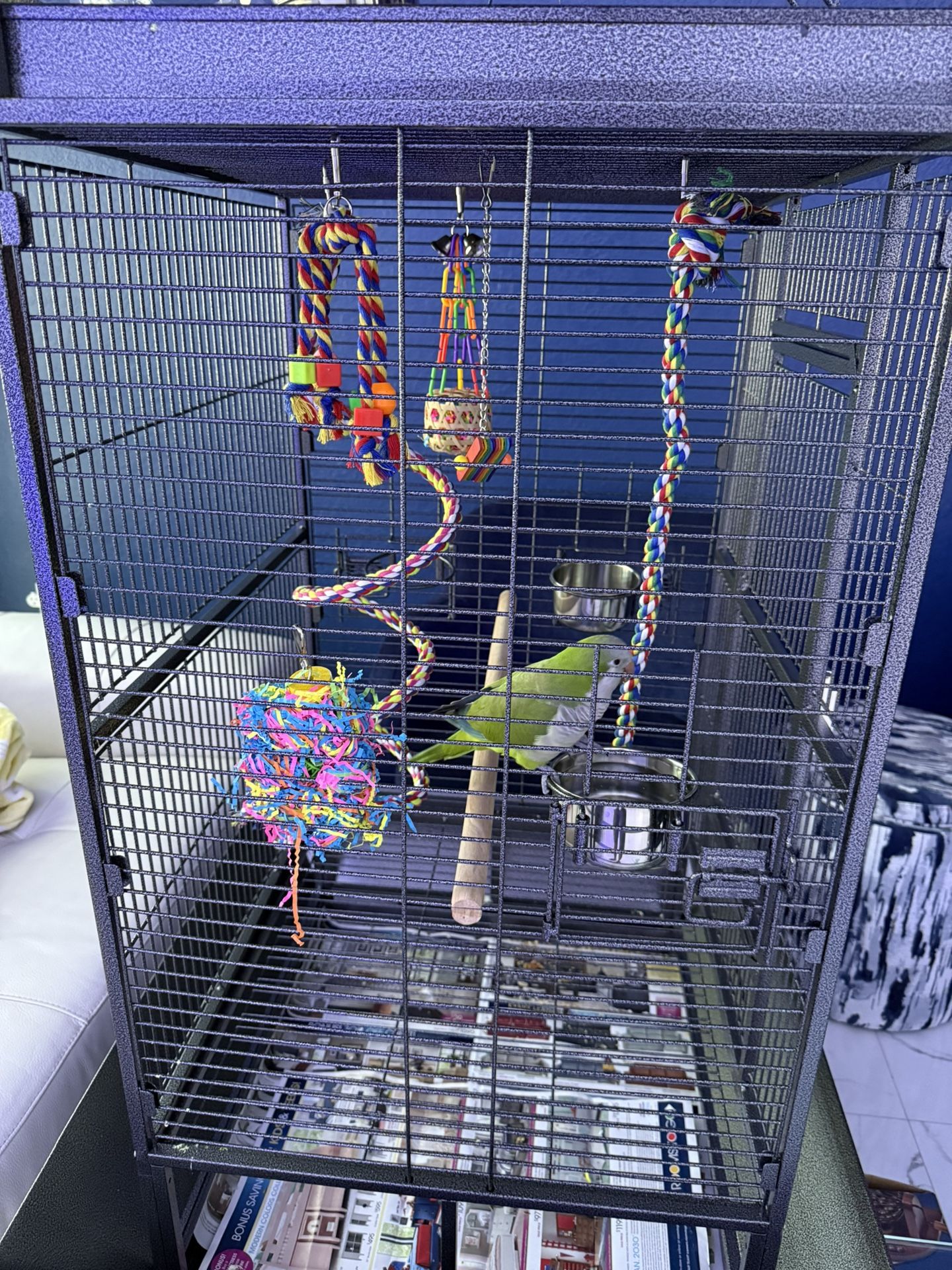 Parrot Cage 69 Inches