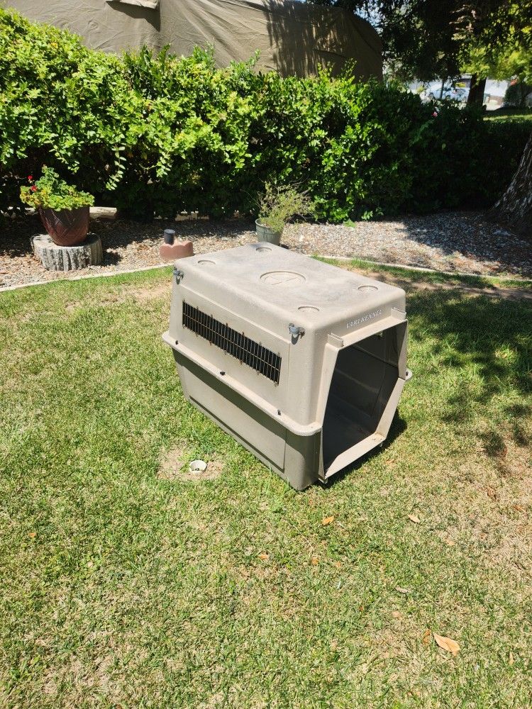 Very decent large size dog house.....NO front gate