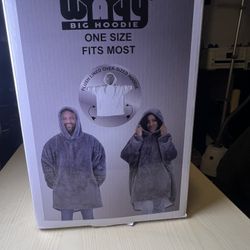 The Wayy Big Hoodie One Size Fits Most Gray Color