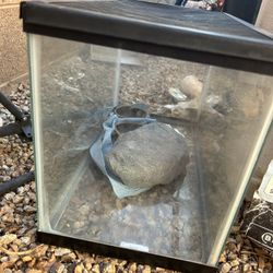 Small Reptile Tank 