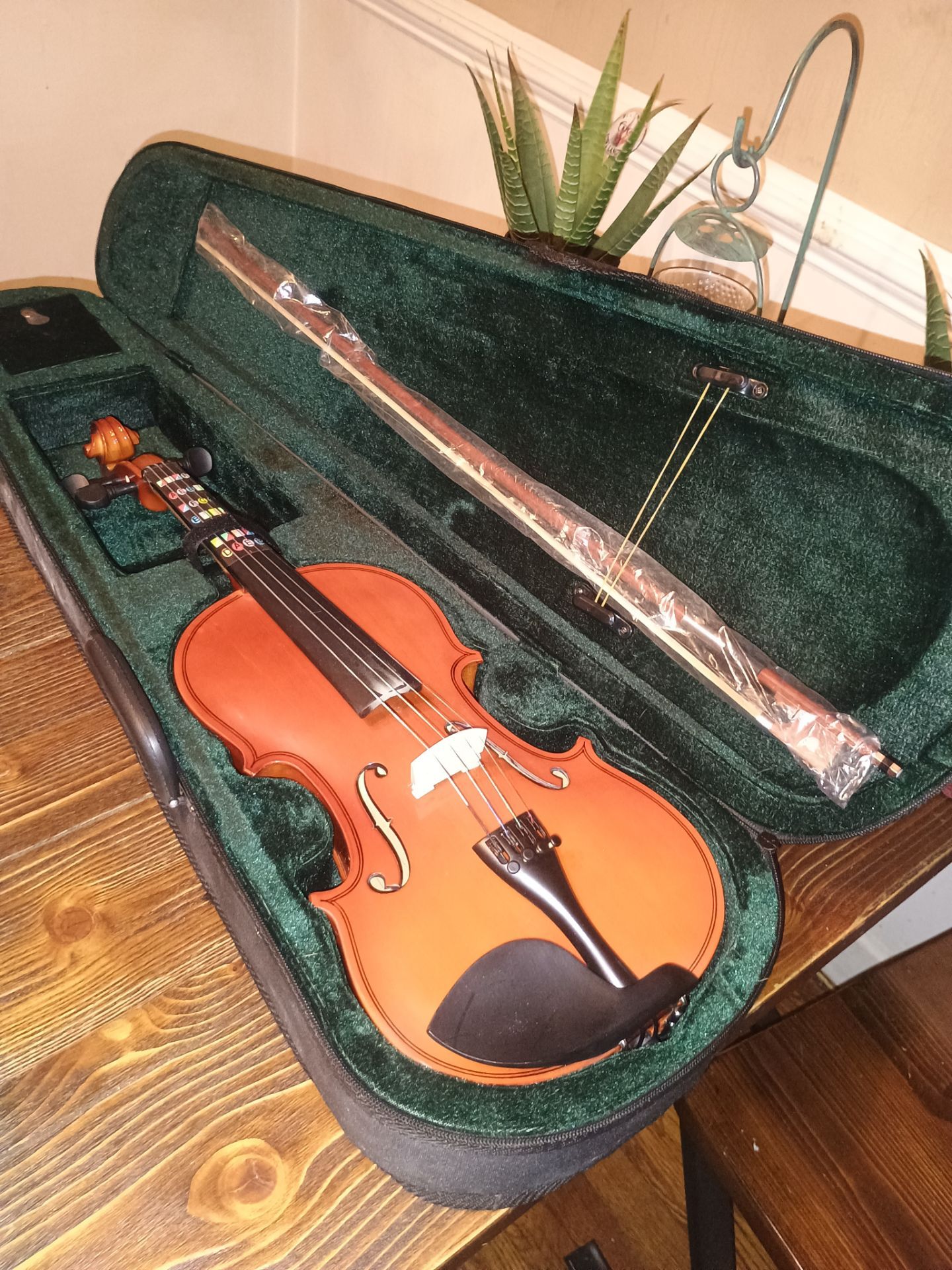 Windsor violin