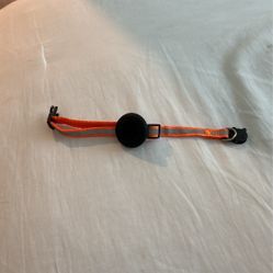 Cat Airtag Collar With AirTag 