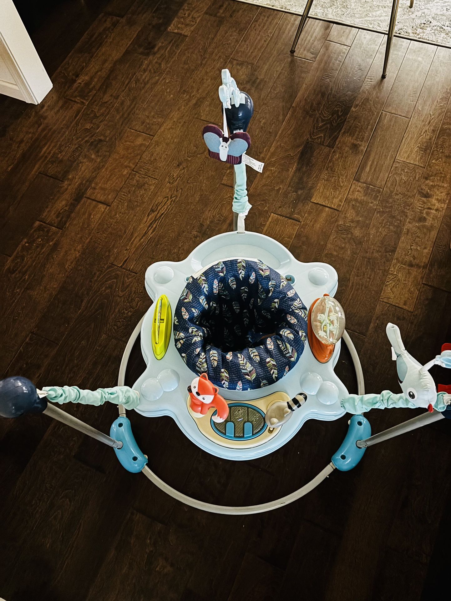 Baby Bouncing Activity Center