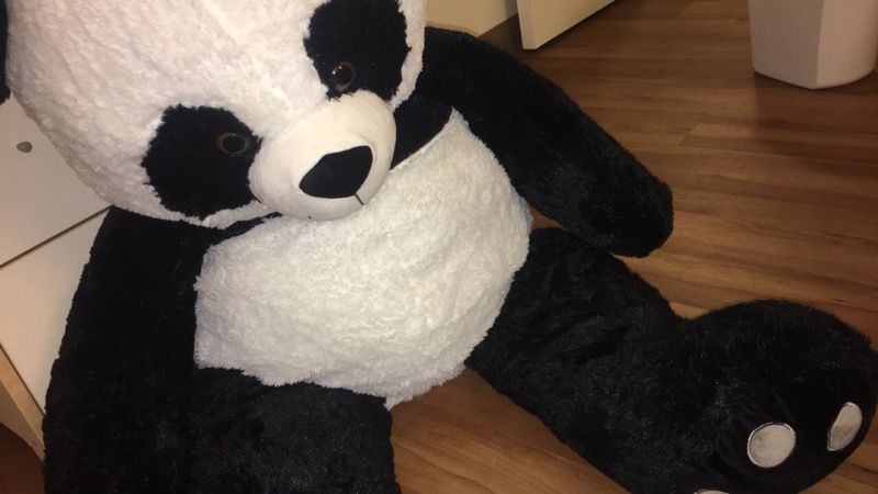 Panda bear