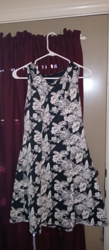 Adrianna Papell. Dress Size 6 Black And White