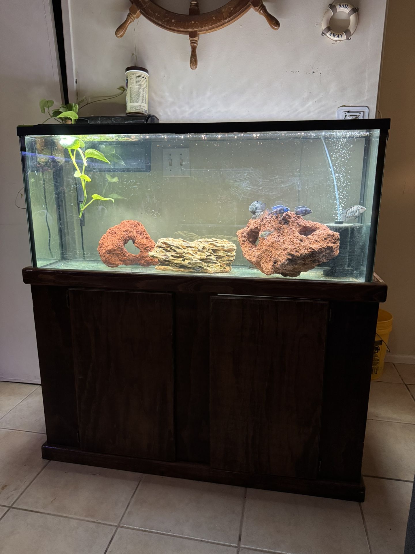 Fish Tank Aquarium 60 Gallon