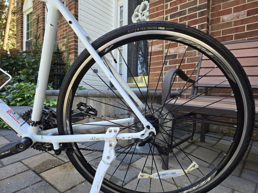 FUJI アブソルート Fuji Absolute 1.5 Carbon Fork, Hybrid, M/L 21 Frame